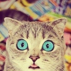 Александр Цветков, 11.10.1982, Москва