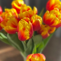 Ольга П, 05.04.2011, Монино