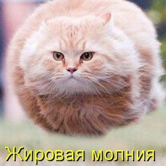 Дарья Галич