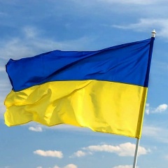 Сергей Степанчук, Киев