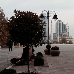 Зара Мавтикова, 01.04, Грозный