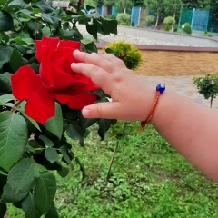 Хасинат Бжамбеева