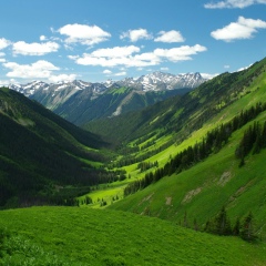 Эльдар Куршаев