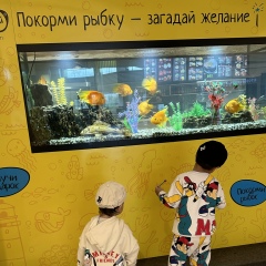 Манижа Таварова, 29.06, Москва