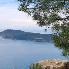 Ольга Кудряшова, Санкт-Петербург