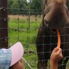 Альмира Сафина, 21.02, Москва