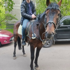 Павел Секриер, 08.09, Москва