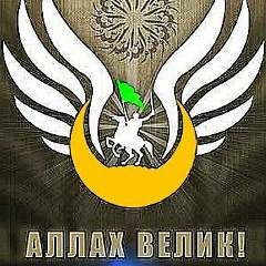 Лулуев Магамед, Шелковская