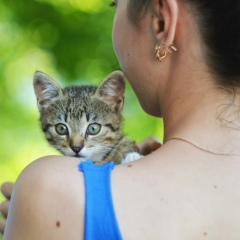 Ирина Чебыкина, 08.04, Чернигов