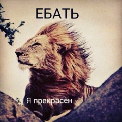 Алтынбек Нурсапин, 07.02, Алматы