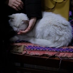 Карина Тавдиева, 03.06.2002