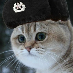 Виктория Соколова, 02.02