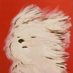 Андрей К, Челябинск