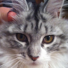 Алина Наумова, 03.08.1986