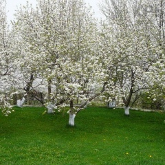 Динара Нуркенова, 23.02.1984, Алматы