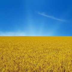 Дмитрий Степанов, 25.11.1985, Харьков