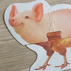 Сергей Маслов
