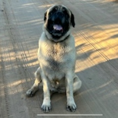 Зоя Москалёнок, 09.09, Тихвин