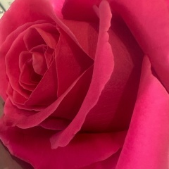 Ксю Окс, 21.04