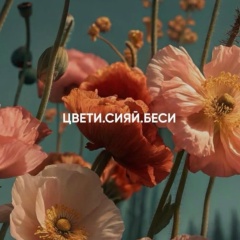 Мария Ермакова-Брежнева, Новосибирск