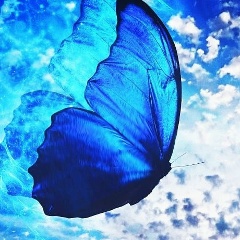 Маржан Аманжолова, 10.01.1984, Астана