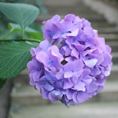 Маша Трубинова, 05.12, Кунгур