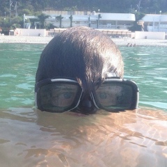 Олег Пустошкин, 18.06.1985, Санкт-Петербург