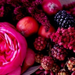 Екатерина Шаляпина, 10.05, Новосибирск