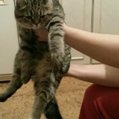 Кема Бадминова, Москва