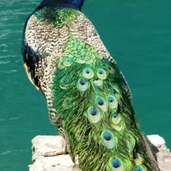 Светлана Ярылкина, 28.09, Казань