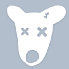 Марина Ткаченко, 26.11, Киев