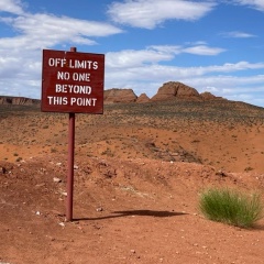 Максим Еременко, Knoxville