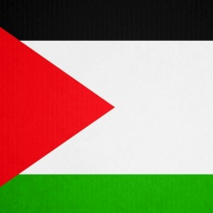 Gasan Gasanov, 16.08.1988, Москва