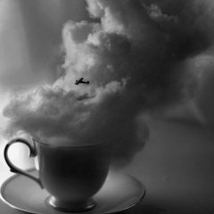 Анастасия Москвичева, 11.04, Москва