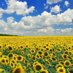 Григорий Савко, 17.03.1983, Киев