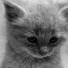 Ірка Мартинюк, 28.12.1995