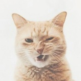 Андрей Журбин, 21.05.2006