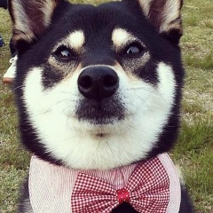 Инна Алексеенко-Артюх, 21.08