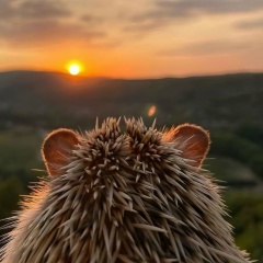 Даша Гришина, Москва