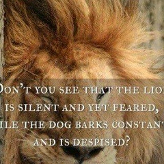 Ashab Chen, 01.01.1996, Tienen