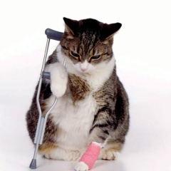 Магомед Черкасов, 30.04.1989, Санкт-Петербург