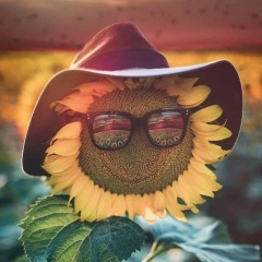 Роман Чевакин, 09.05.1987, Уварово