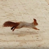 Радмир Ихсанов, 20.01, Yawada