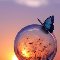 Алёна Ерёмина, Рязань