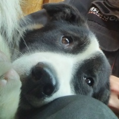 Владимир Скрынник, Нижний Тагил