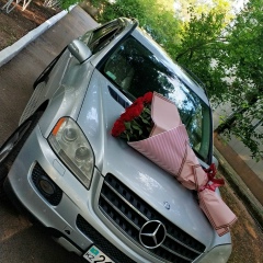 Нуржан Алибай, 29.07, Алматы