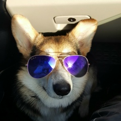 Анастасия Goverdovskaya, 20.06, Алматы