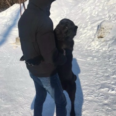 Туран Самедов, 21.03.1990, Казань