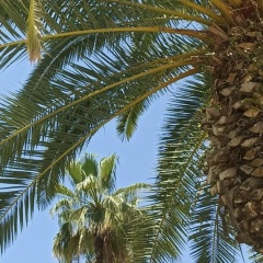 Алёна Крымская, Нижний Новгород