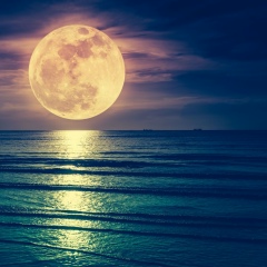 Балембай Балембаев, 29.02